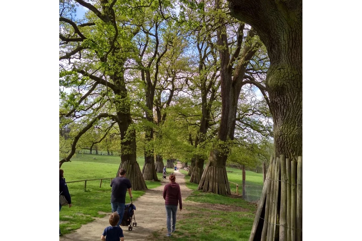Ausflugsziel: Tierpark Sababurg
