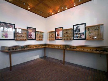Heimatmuseum Hiddensee Highlights beim Ausflugsziel Hiddenseer Bernstein