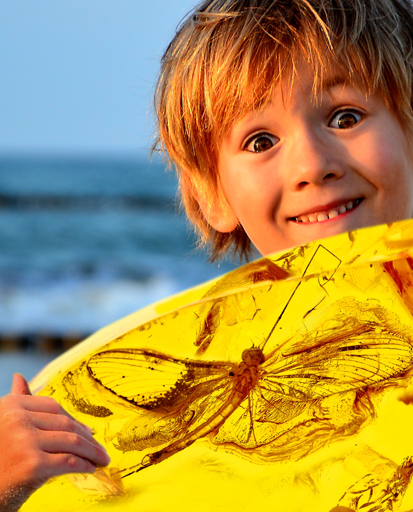 Ausflugsziel: Deutsches Bernsteinmuseum