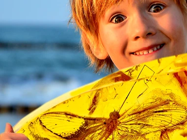Ausflugsziel: Deutsches Bernsteinmuseum
