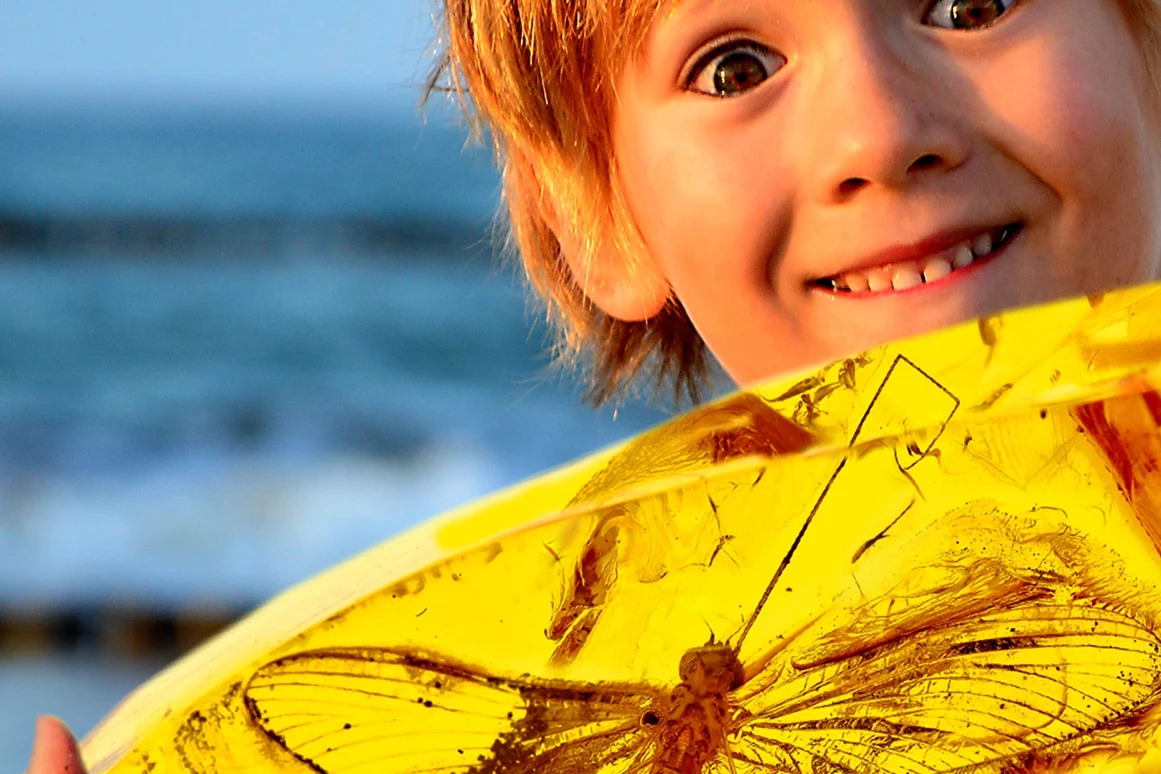 Ausflugsziel: Deutsches Bernsteinmuseum