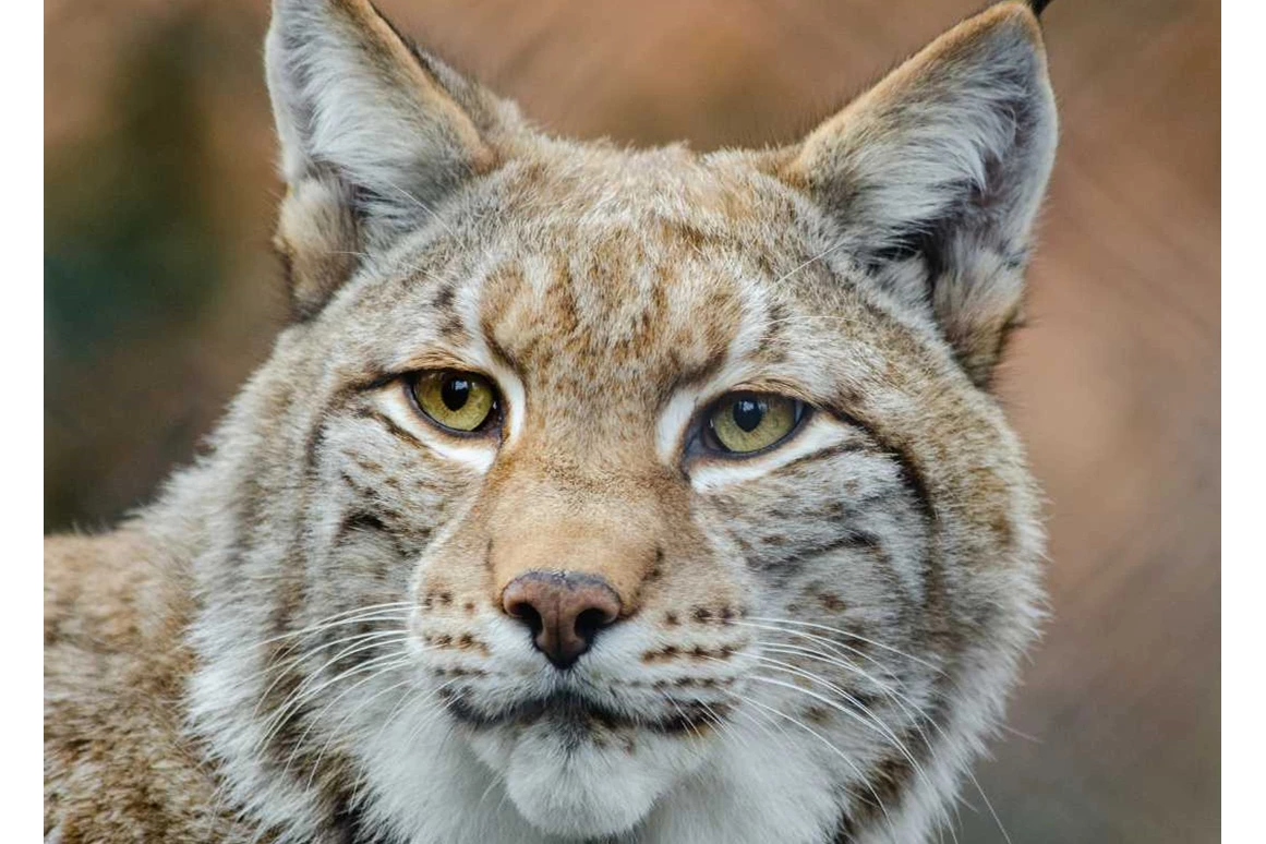 Ausflugsziel: Zoo Rostock