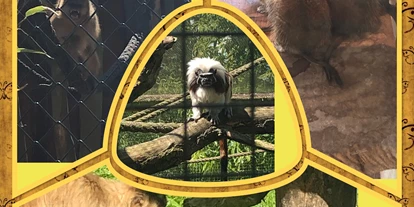 Reis met kinderen - Dargun - Tierpark Greifswald