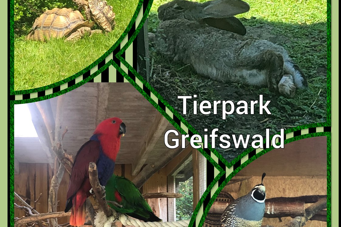 Ausflugsziel: Tierpark Greifswald
