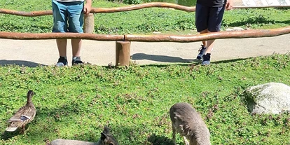 Reis met kinderen - Dargun - Tierpark Greifswald