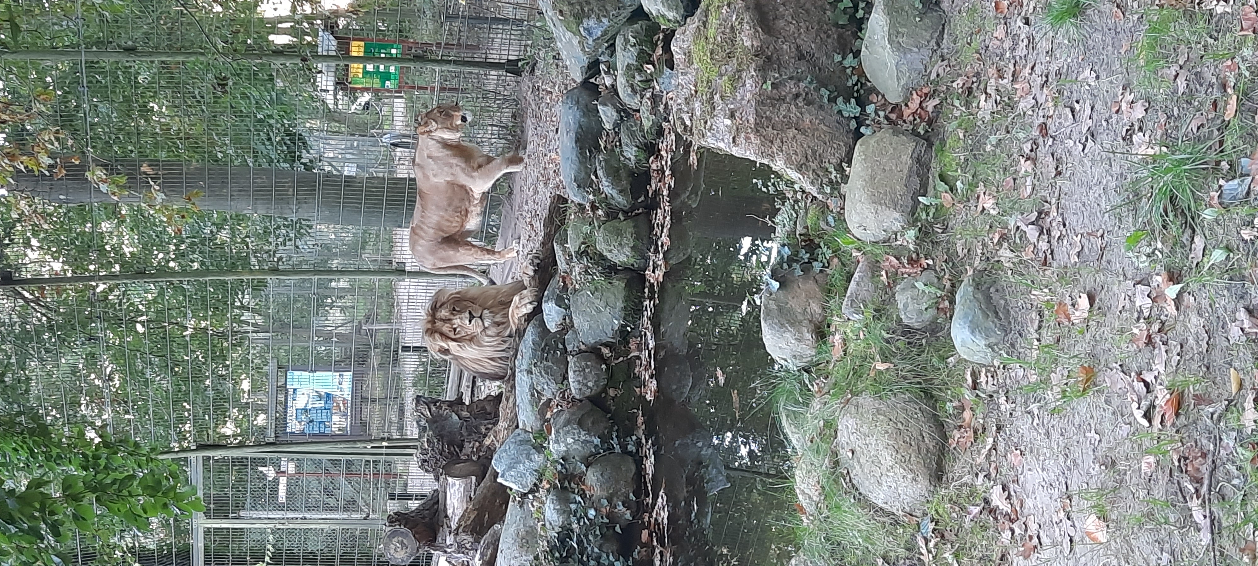 Ausflugsziel: Tierpark Ueckermünde