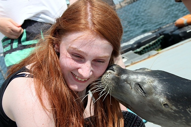 Viaggio con bambini - Meclemburgo-Pomerania Occidentale - MSC Marine Science Center Robbenforschungszentrum