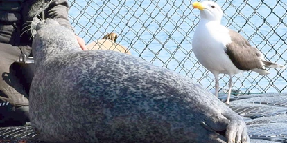 Reis met kinderen - Güstrow - MSC Marine Science Center Robbenforschungszentrum