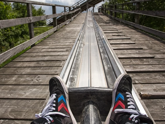 Ausflugsziel: Symbolbild für Ausflugsziel Sommerrodelbahn & Affenwald Malchow. Keine korrekte oder ähnlich Darstellung! - Sommerrodelbahn & Affenwald Malchow