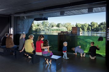 Ausflugsziel: Im "Wassertheater" eröffnet sich der Blick auf den Herrensee im Museumsgarten.  - MÜRITZEUM 