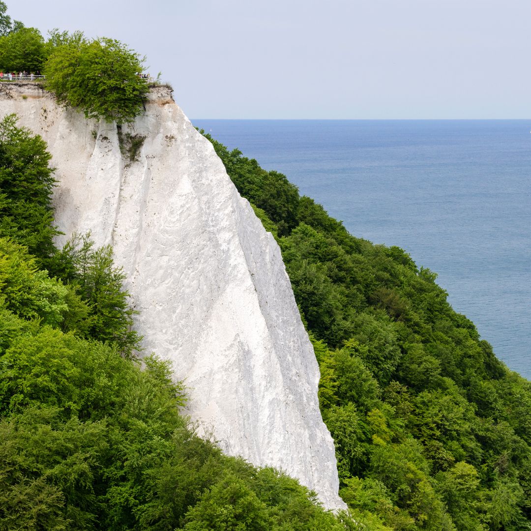 Ausflug mit Kindern - Alter der Kinder: 4 bis 6 Jahre - Mecklenburg-Vorpommern - Nationalpark-Zentrum KÖNIGSSTUHL