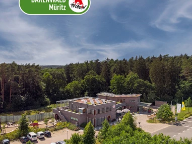 Ausflugsziel: Mitten in der Natur im Herzen der Mecklenburgischen Seenplatte liegt Westeuropas größtes Bärenschutzzentrum – der BÄRENWALD Müritz. - BÄRENWALD Müritz