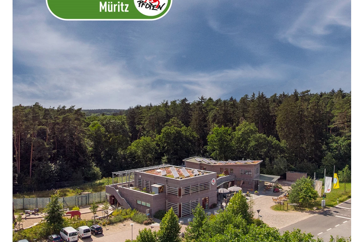 Ausflugsziel: Mitten in der Natur im Herzen der Mecklenburgischen Seenplatte liegt Westeuropas größtes Bärenschutzzentrum – der BÄRENWALD Müritz. - BÄRENWALD Müritz