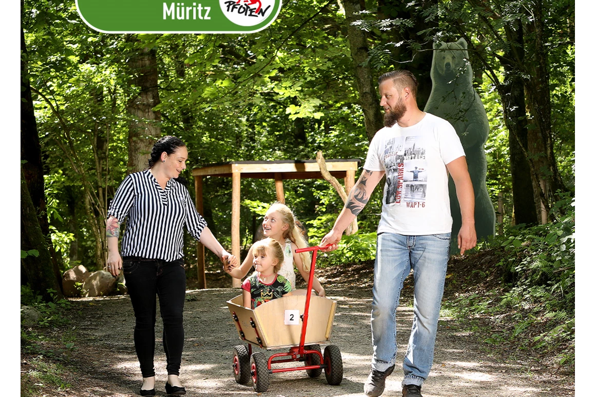 Ausflugsziel: Das Besucherzentrum des BÄRENWALD Müritz ist komplett barrierefrei angelegt. Der Shop, das Bio-Bistro, der Innenhof und auch der Empfangsbereich können problemlos besucht werden. Ebenerdig steht auch eine behindertengerechte Toilette zur Verfügung. - BÄRENWALD Müritz