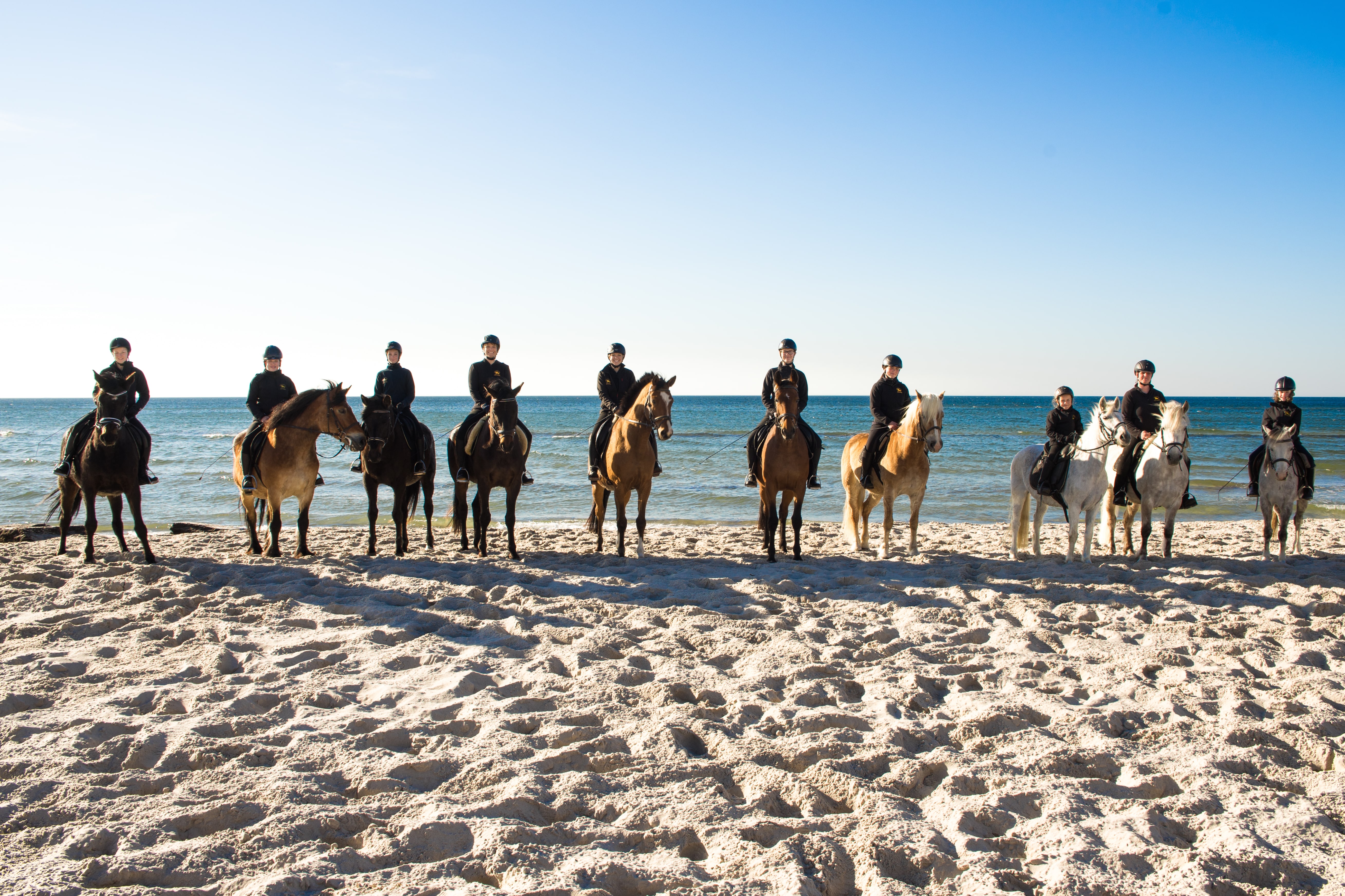 Ausflugsziel: Bernsteinreiter