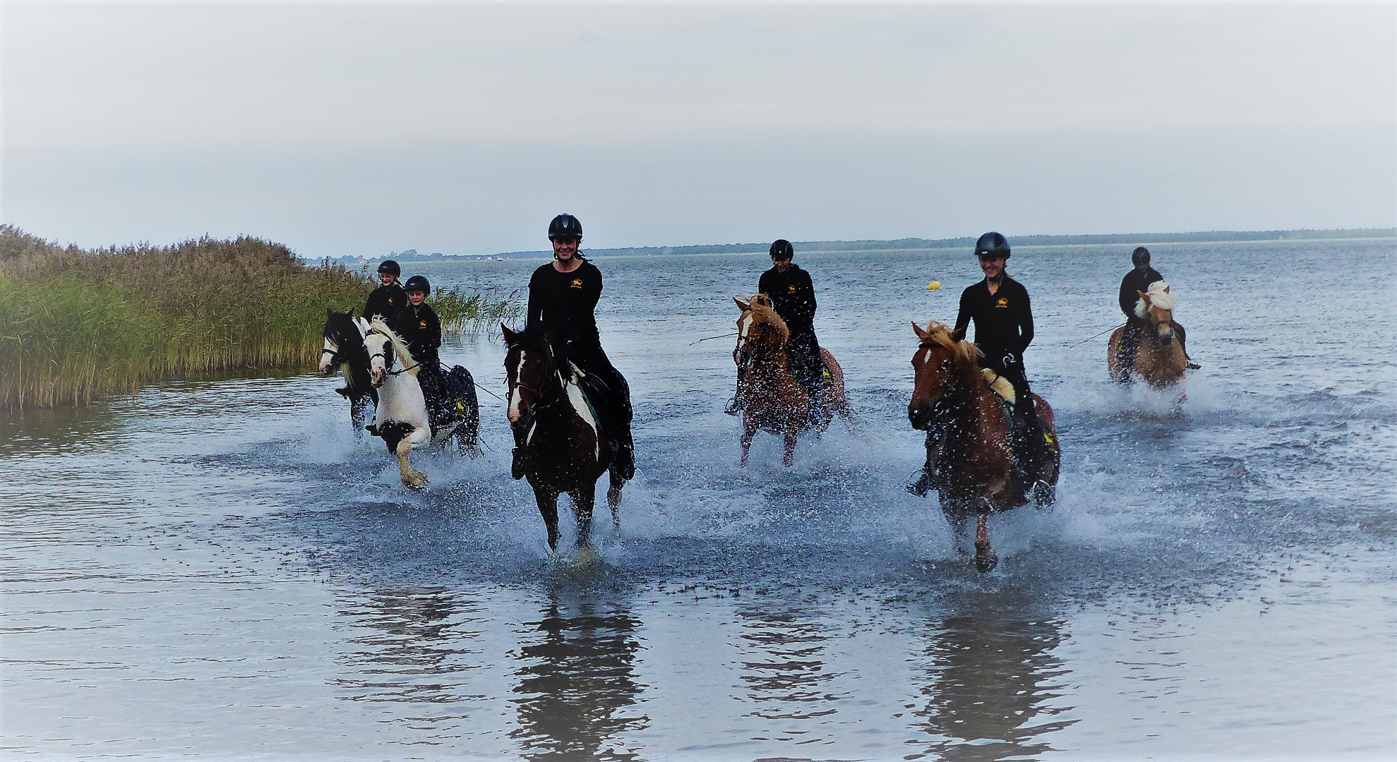 Ausflugsziel: Bernsteinreiter