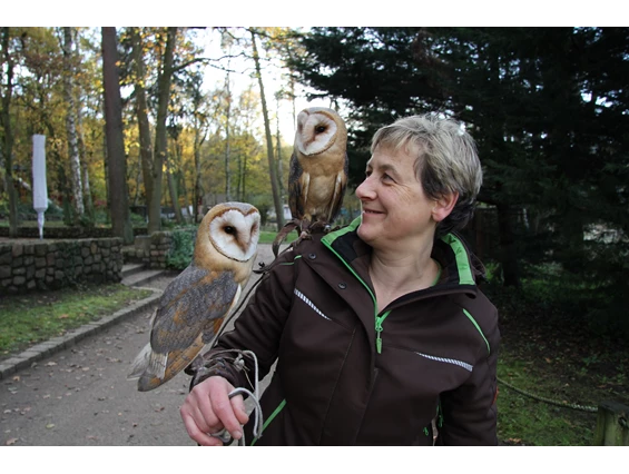 Ausflugsziel: Wildpark-MV