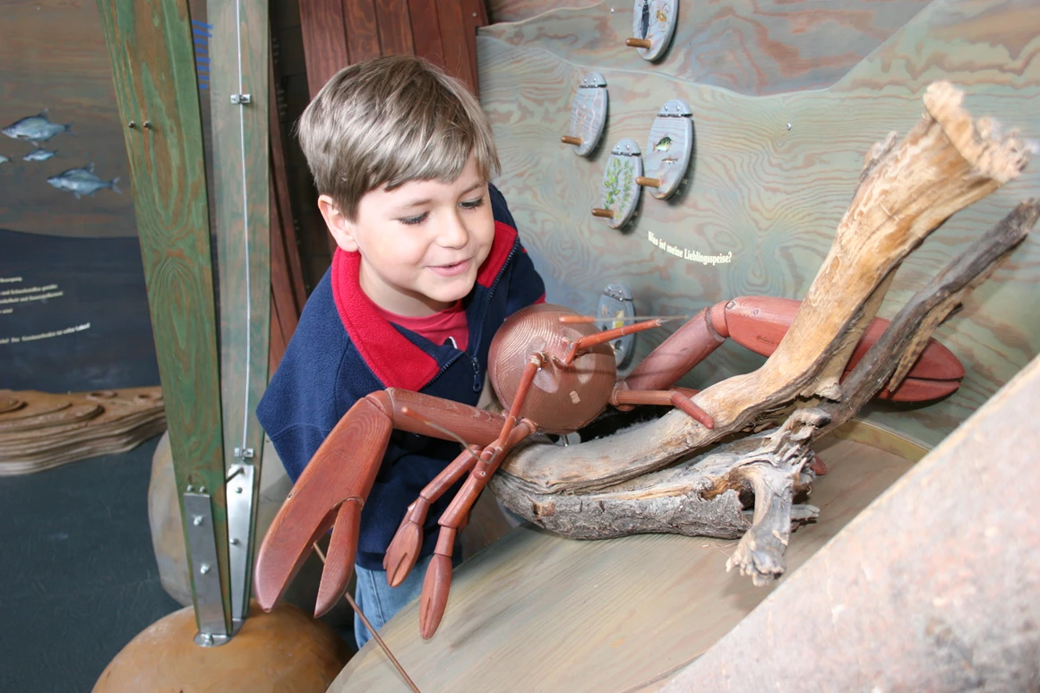 Ausflugsziel: Wildpark-MV