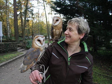 Ausflugsziel: Wildpark-MV