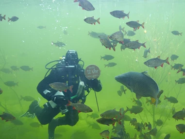 Ausflugsziel: Wildpark-MV