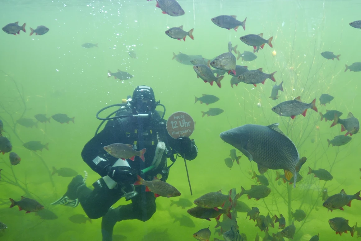 Ausflugsziel: Wildpark-MV