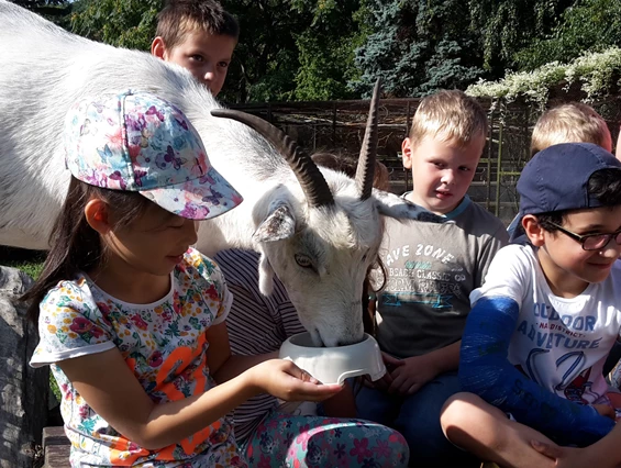 Ausflugsziel: Sozial- und Jugendzentrum Hinterste Mühle
