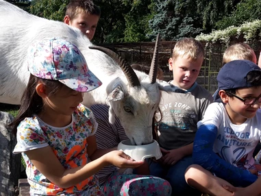 Ausflugsziel: Sozial- und Jugendzentrum Hinterste Mühle