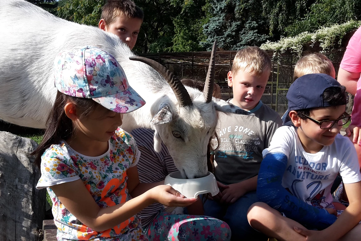 Ausflugsziel: Sozial- und Jugendzentrum Hinterste Mühle