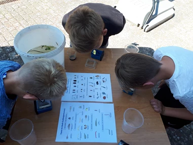 Ausflugsziel: Sozial- und Jugendzentrum Hinterste Mühle