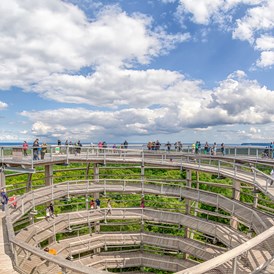 Ausflugsziel: 360-Grad-Panorama - Naturerbe Zentrum Rügen