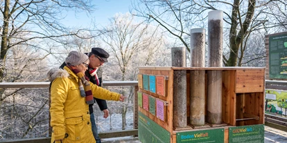 Ausflug mit Kindern - Gastronomie: kinderfreundliches Restaurant - Die anschaulichen Didaktikstationen auf dem Pfad informieren über die heimische Flora und Fauna.  - Naturerbe Zentrum Rügen