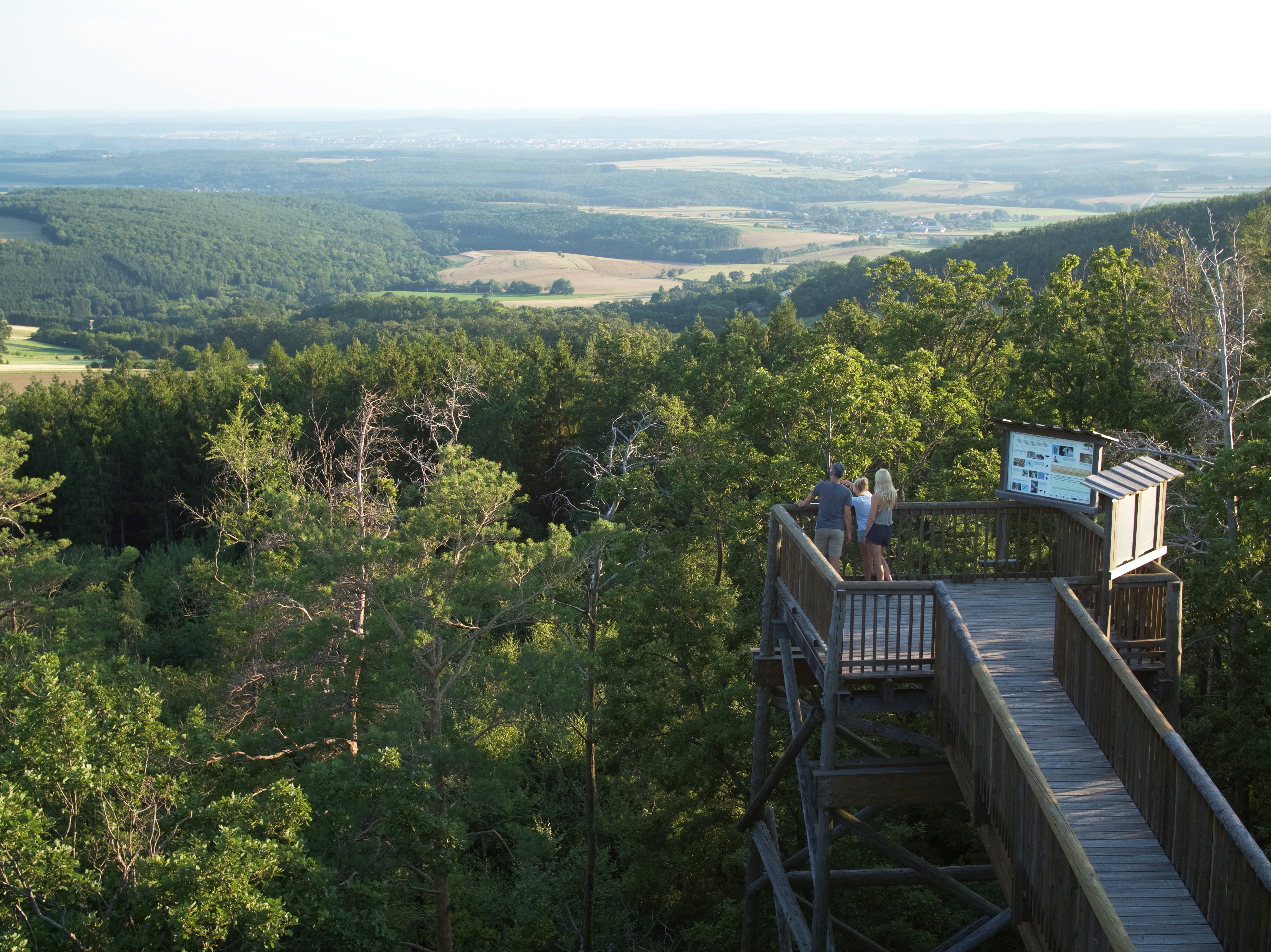Ausflug mit Kindern - Alter der Kinder: 2 bis 4 Jahre - Großsteinbach - Baumwipfelweg Althodis