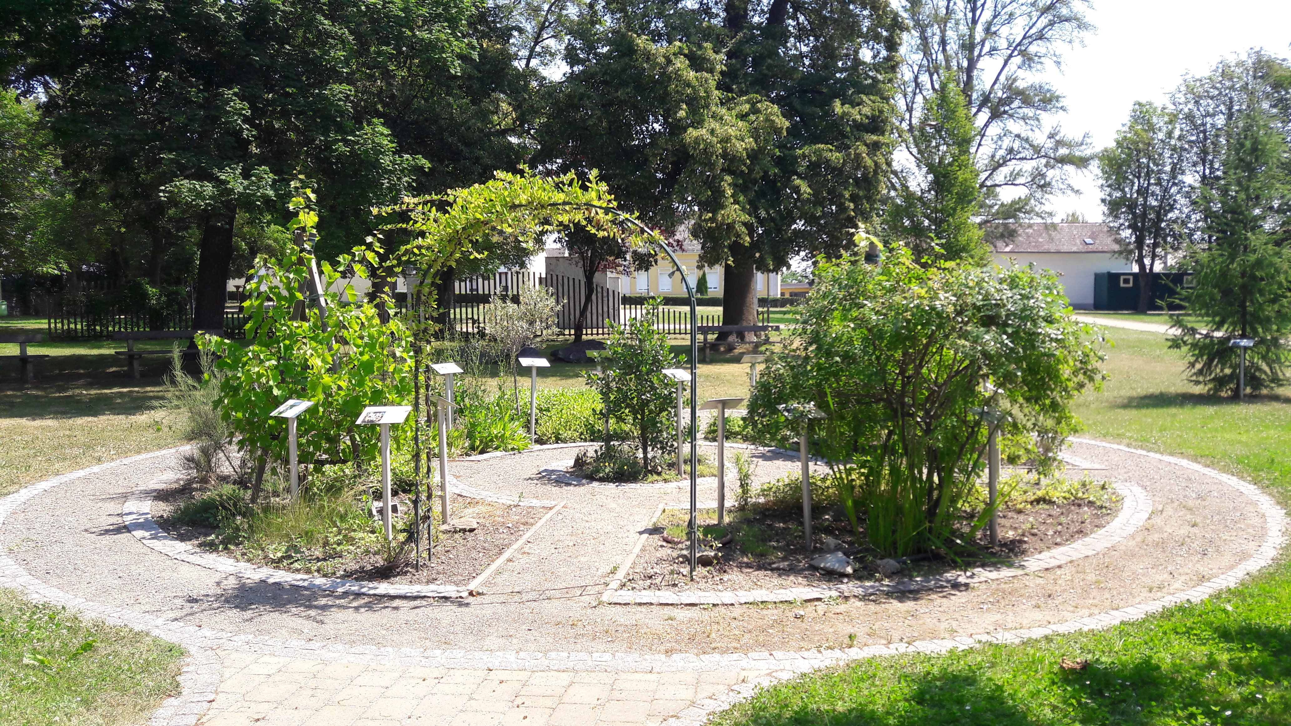 Ausflug mit Kindern - Themenschwerpunkt: Lernen - Burgenland - Bachblüten Kraftpark