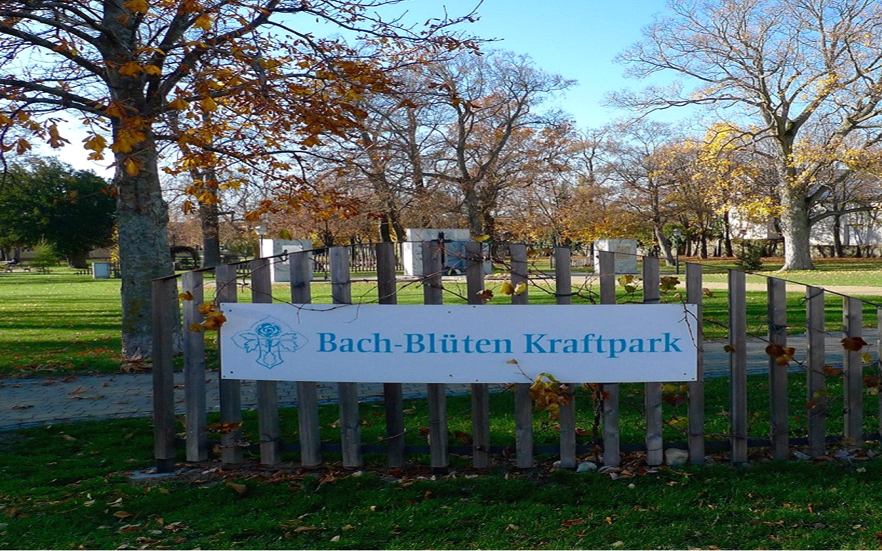 Ausflug mit Kindern - Themenschwerpunkt: Lernen - Burgenland - Bachblüten Kraftpark