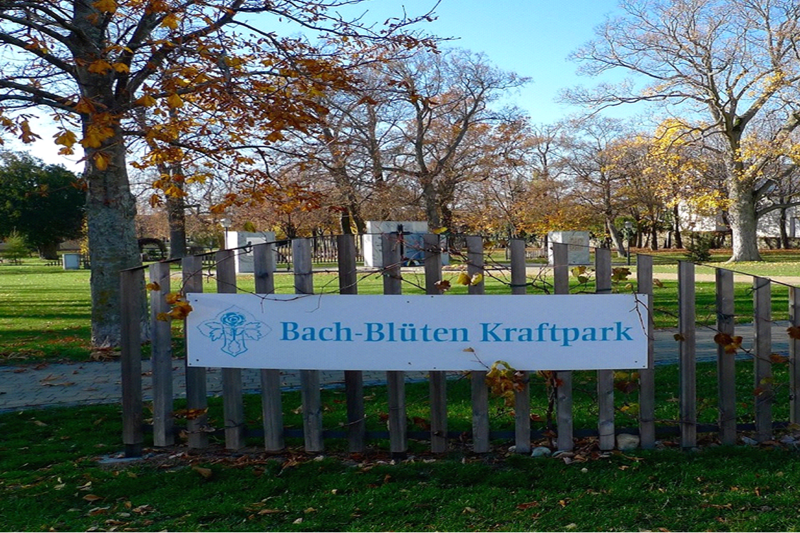 Ausflugsziel: Bachblüten Kraftpark