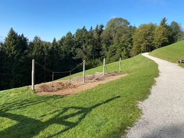 Ausflugsziel: Hängespiele - Zistelalm - Gaisberg Rundwanderweg
