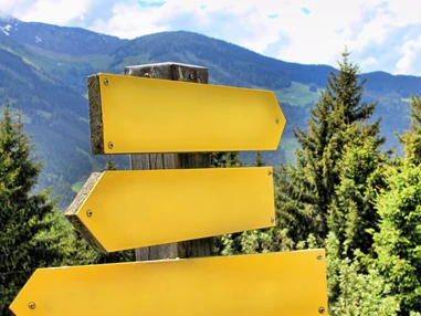 Ausflugsziel: Zistelalm - Gaisberg Rundwanderweg