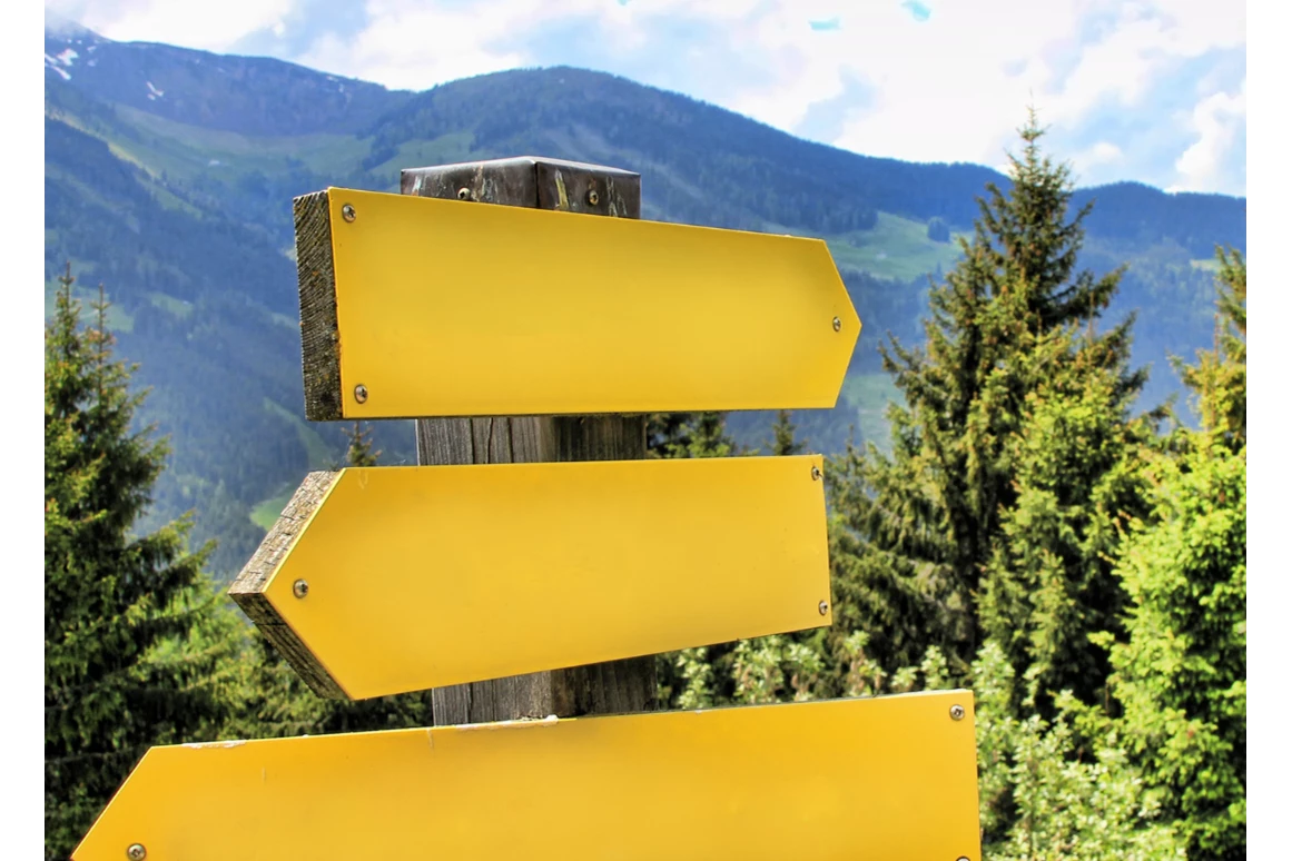 Ausflugsziel: Zistelalm - Gaisberg Rundwanderweg