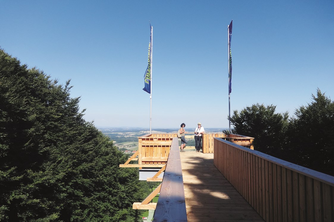 Ausflugsziel: Aussichtspunkt bei der Bergstation - Erlebnisberg Luisenhöhe