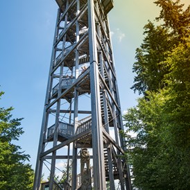 Ausflugsziel: Aussichtsturm mit Blick ins Innviertel,, Mostviertel, Zentralraum - Erlebnisberg Luisenhöhe