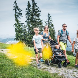 Ausflugsziel: Perfekt für den nächsten Familienausflug - Wagrainis Grafenberg im Salzburger Land - Wagrainis Grafenberg
