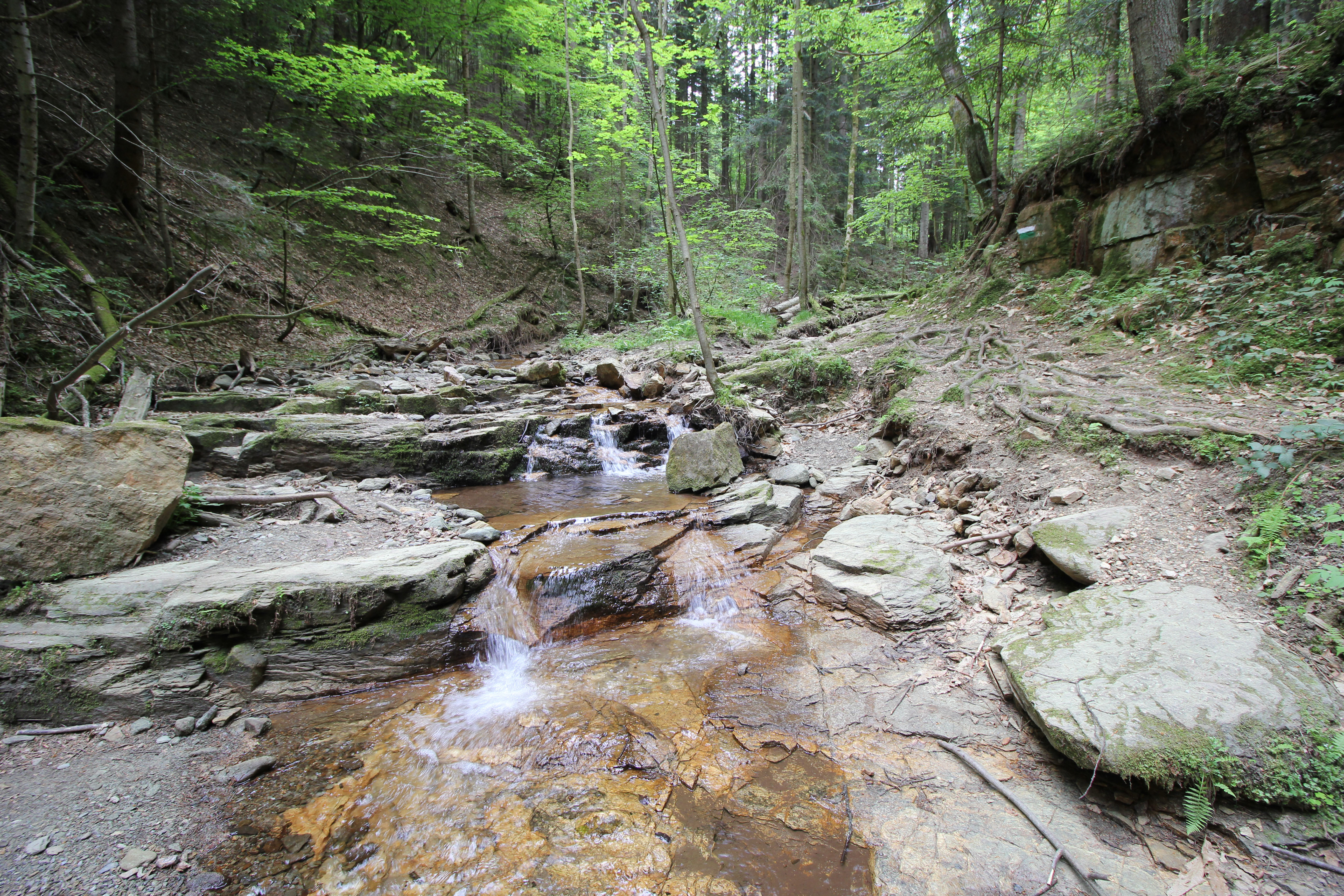 Ausflugsziel: Heiligengeistklamm an der Südsteirischen Weinstraße