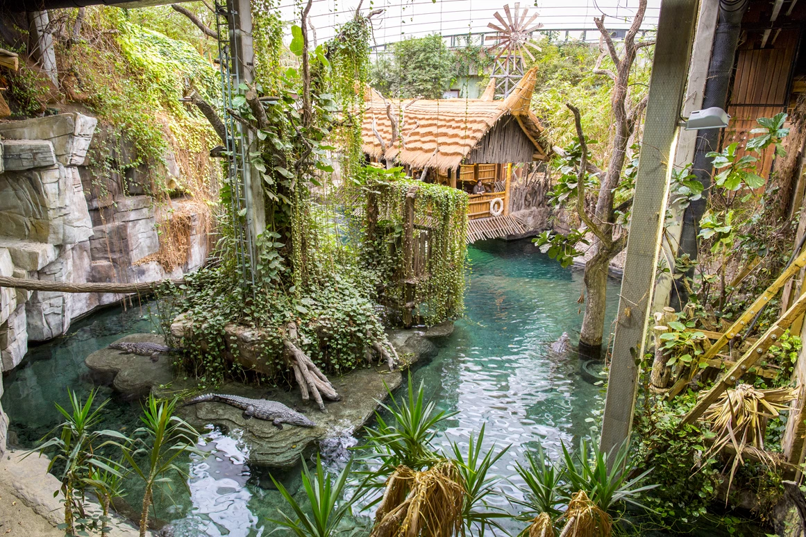 Ausflugsziel: Tropen-Aquarium Hagenbeck
