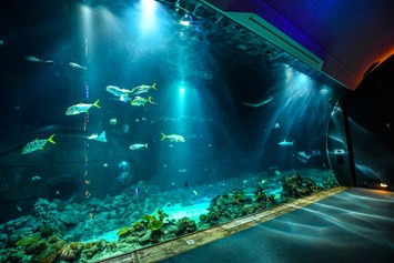 Ausflugsziel: Tropen-Aquarium Hagenbeck