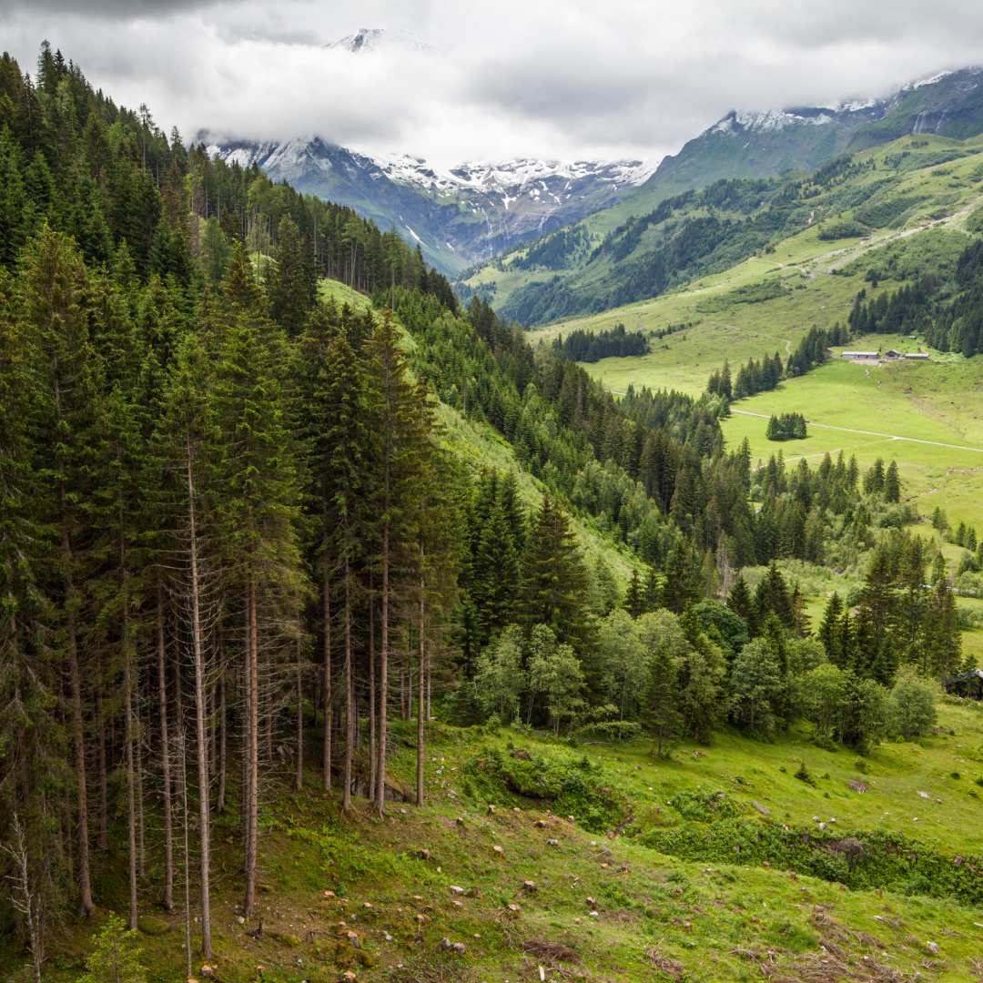 Reis met kinderen - Alter der Kinder: 4 bis 6 Jahre - Pinzgau - Symbolbild für Ausflugsziel BIJOFARM (Salzburg). - BIJOFARM