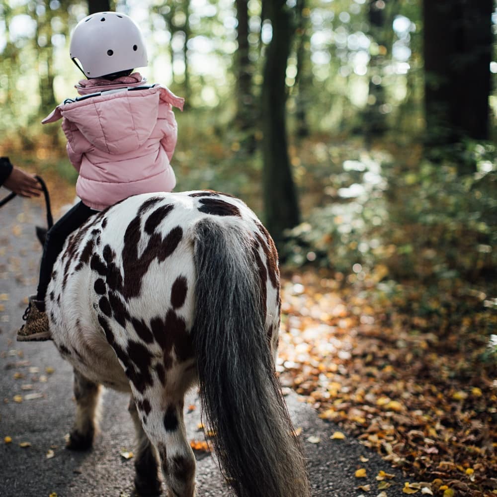 Ausflugsziel: Erlebnisbauernhof in Grödig