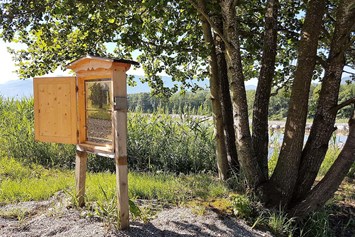 Ausflugsziel: Der Schaubienenstock ist für Groß und Klein ein erlebnis. Hier kann man den Bienen bei der Arbeit zusehen! - Bienenhof Attersee