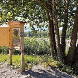 Ausflugsziel: Der Schaubienenstock ist für Groß und Klein ein erlebnis. Hier kann man den Bienen bei der Arbeit zusehen! - Bienenhof Attersee