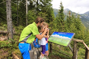 Ausflugsziel: Natur- und Umwelterlebnispfad am Sattelberg