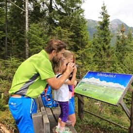 Ausflugsziel: Natur- und Umwelterlebnispfad am Sattelberg